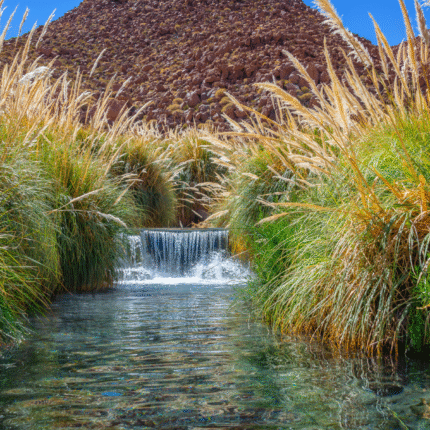 Escapada - San Pedro de Atacama