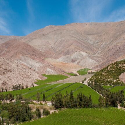 La Serena + Valle del Elqui