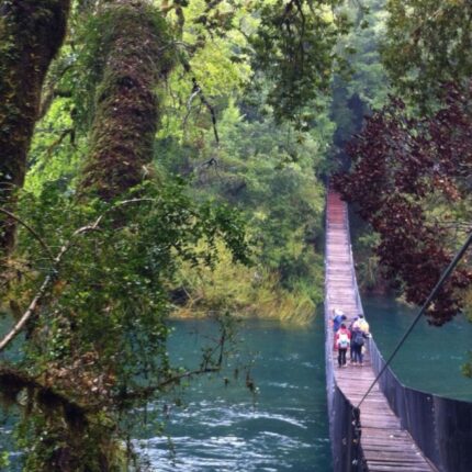 Valdivia y Huilo Huilo